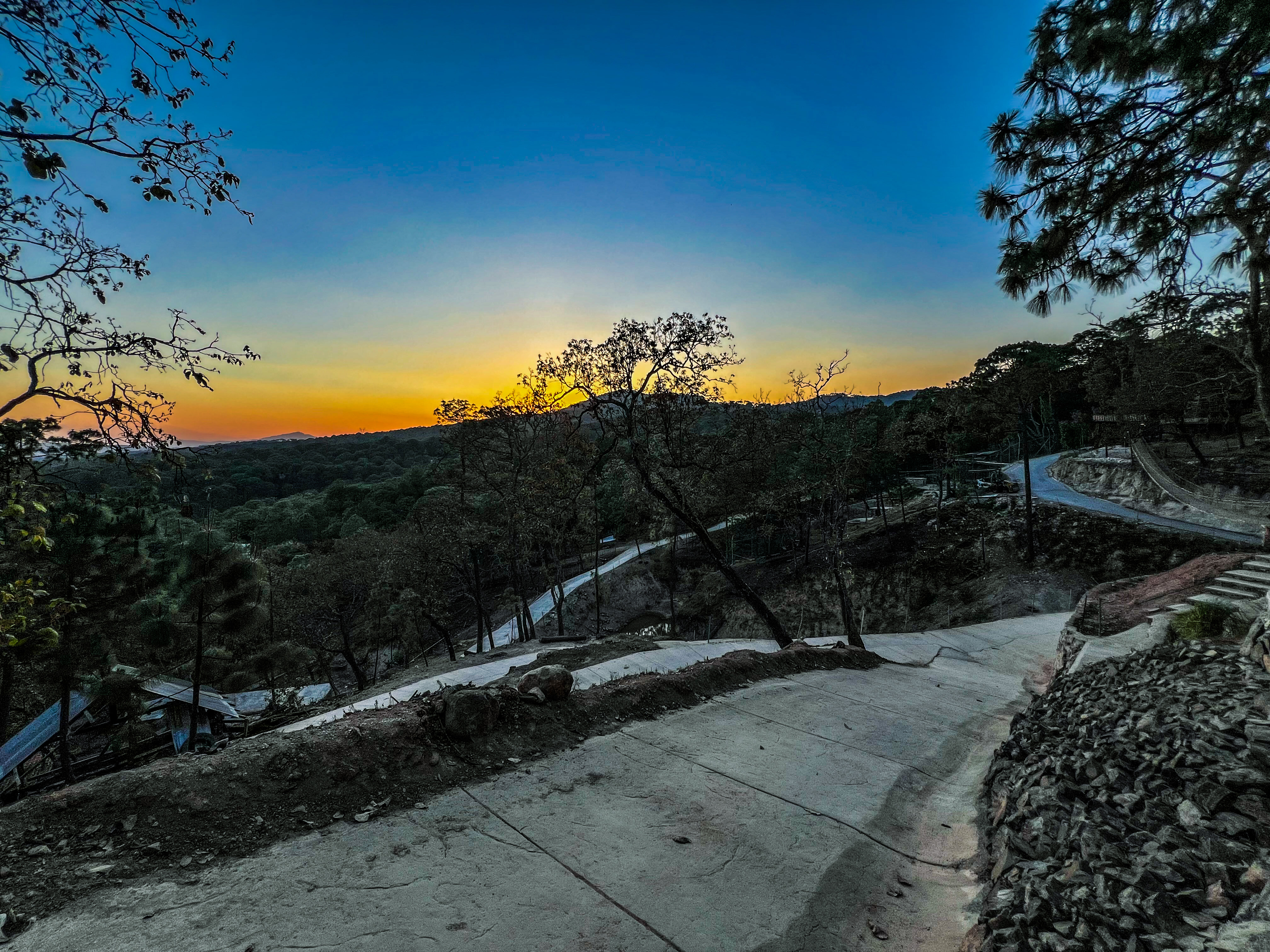Galería 16